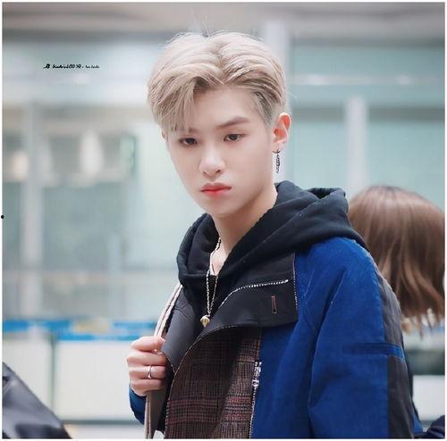 黄明昊爆料新闻,揭秘娱乐圈幕后真相