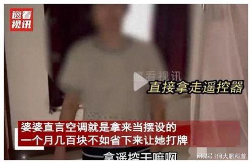 爆料婆婆后续故事视频播放,惊人真相揭露家庭风云