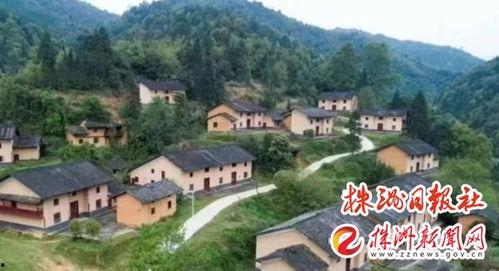 茶陵爆料最新消息新闻,最新突发新闻事件回顾